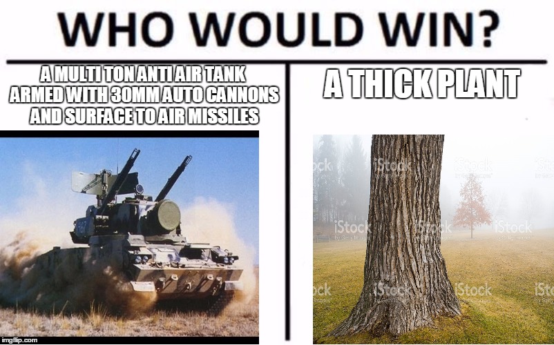 Who Would Win? Meme | A MULTI TON ANTI AIR TANK ARMED WITH 30MM AUTO CANNONS AND SURFACE TO AIR MISSILES; A THICK PLANT | image tagged in who would win | made w/ Imgflip meme maker