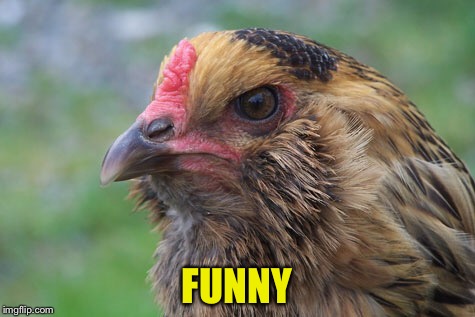 FUNNY | made w/ Imgflip meme maker