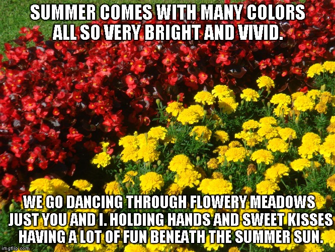 Colorful Summer | SUMMER COMES WITH MANY COLORS ALL SO VERY BRIGHT AND VIVID. WE GO DANCING THROUGH FLOWERY MEADOWS JUST YOU AND I. HOLDING HANDS AND SWEET KISSES HAVING A LOT OF FUN BENEATH THE SUMMER SUN. | image tagged in summer,flowers,kisses,summer sun | made w/ Imgflip meme maker