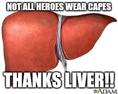 Liver NOT ALL HEROES WEAR CAPES; THANKS LIVER!! image tagged in liver made ...