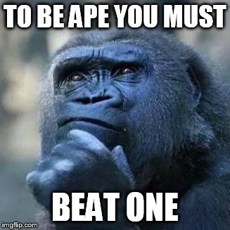 Thinking ape | TO BE APE YOU MUST; BEAT ONE | image tagged in thinking ape | made w/ Imgflip meme maker