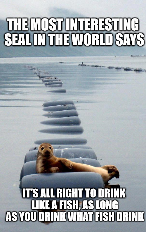 Stay thirsty, my friends | THE MOST INTERESTING SEAL IN THE WORLD SAYS; IT'S ALL RIGHT TO DRINK LIKE A FISH, AS LONG AS YOU DRINK WHAT FISH DRINK | image tagged in most interesting seal in the world,drinking,fish | made w/ Imgflip meme maker