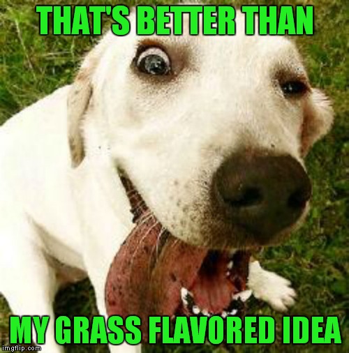 THAT'S BETTER THAN MY GRASS FLAVORED IDEA | made w/ Imgflip meme maker