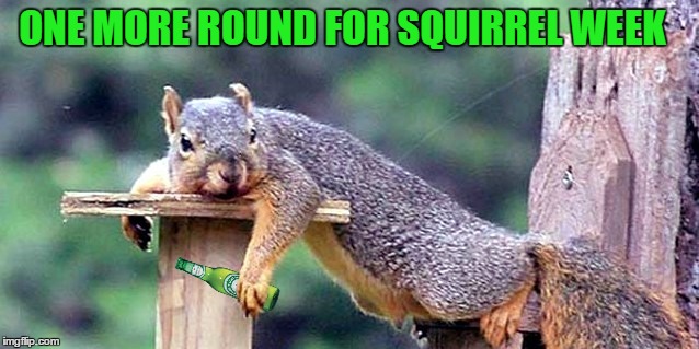 drunk squirrel Memes &amp; GIFs - Imgflip