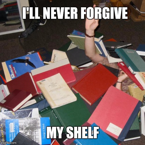 I'LL NEVER FORGIVE MY SHELF | made w/ Imgflip meme maker