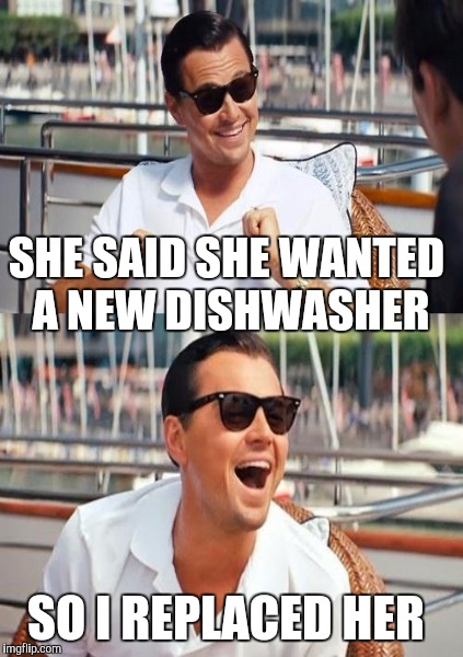 SHE SAID SHE WANTED A NEW DISHWASHER SO I REPLACED HER | image tagged in leonardo dicaprio wolf of wall street | made w/ Imgflip meme maker