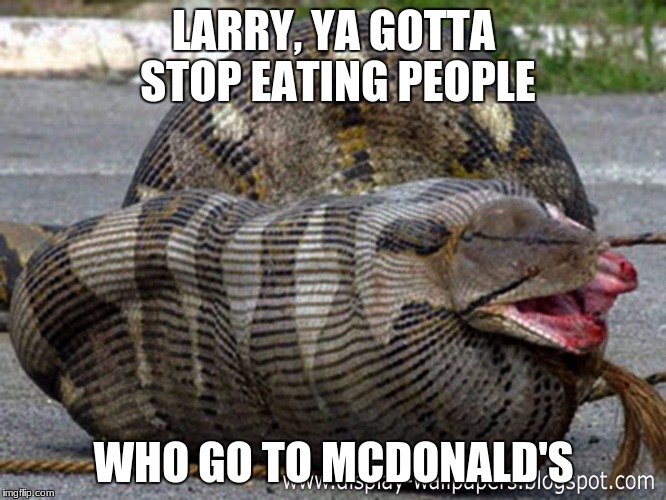 McDonald's customers are fattening
 | LARRY, YA GOTTA STOP EATING PEOPLE; WHO GO TO MCDONALD'S | image tagged in memes,snake,mcdonalds | made w/ Imgflip meme maker