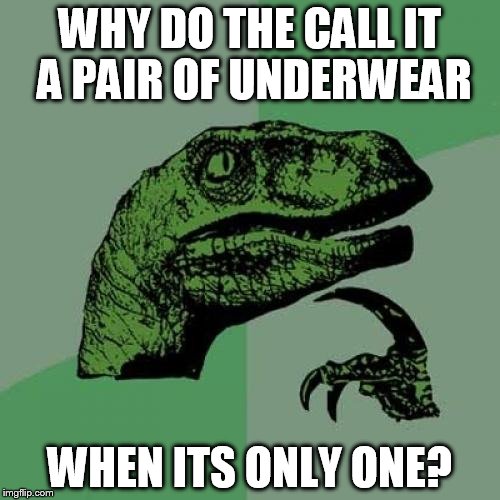 Philosoraptor | WHY DO THE CALL IT A PAIR OF UNDERWEAR; WHEN ITS ONLY ONE? | image tagged in memes,philosoraptor | made w/ Imgflip meme maker