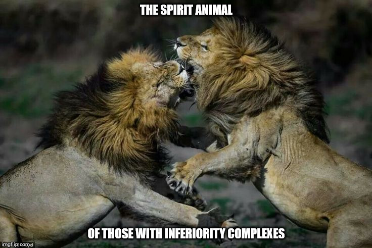 The Lion, the mascot of those with inferiority complexes. | THE SPIRIT ANIMAL; OF THOSE WITH INFERIORITY COMPLEXES | image tagged in lion,spirituality,mental illness,inferiority complex,malignant narcissism,sexual narcissism | made w/ Imgflip meme maker