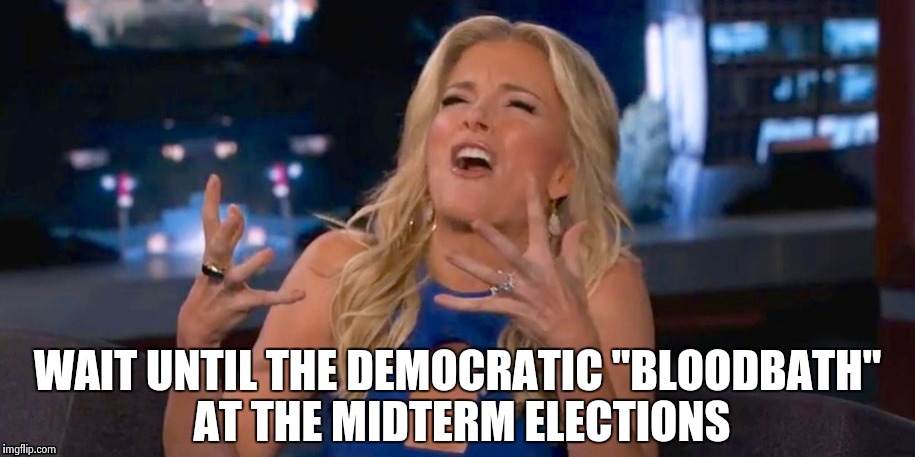 Megan Kelley | WAIT UNTIL THE DEMOCRATIC "BLOODBATH" AT THE MIDTERM ELECTIONS | image tagged in megan kelley | made w/ Imgflip meme maker