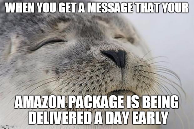 Satisfied Seal Meme | WHEN YOU GET A MESSAGE THAT YOUR; AMAZON PACKAGE IS BEING DELIVERED A DAY EARLY | image tagged in memes,satisfied seal | made w/ Imgflip meme maker