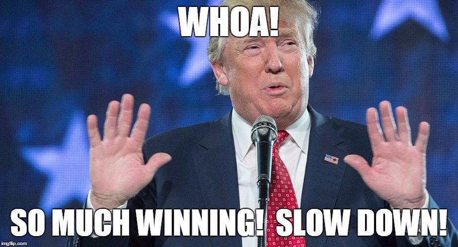 Does the winning ever start? | WHOA! SO MUCH WINNING!  SLOW DOWN! | image tagged in donald trump,winning | made w/ Imgflip meme maker