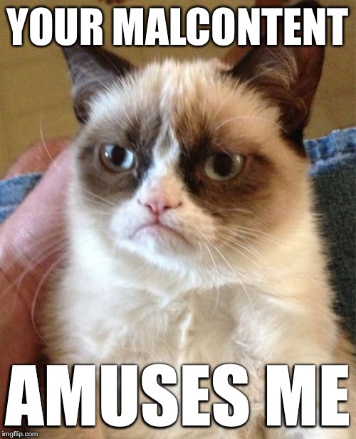 Grumpy Cat Meme | YOUR MALCONTENT AMUSES ME | image tagged in memes,grumpy cat | made w/ Imgflip meme maker