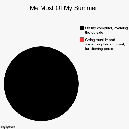 How I Spend My Summer | image tagged in funny,pie charts,true story | made w/ Imgflip chart maker