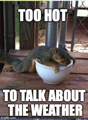 squirrel week sounds good to me | TOO HOT; TO TALK ABOUT THE WEATHER | image tagged in squirrel,weather,hot | made w/ Imgflip meme maker