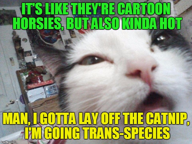 IT'S LIKE THEY'RE CARTOON HORSIES, BUT ALSO KINDA HOT MAN, I GOTTA LAY OFF THE CATNIP, I'M GOING TRANS-SPECIES | made w/ Imgflip meme maker