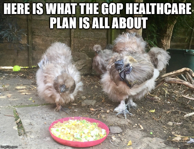 HERE IS WHAT THE GOP HEALTHCARE PLAN IS ALL ABOUT | image tagged in acha | made w/ Imgflip meme maker