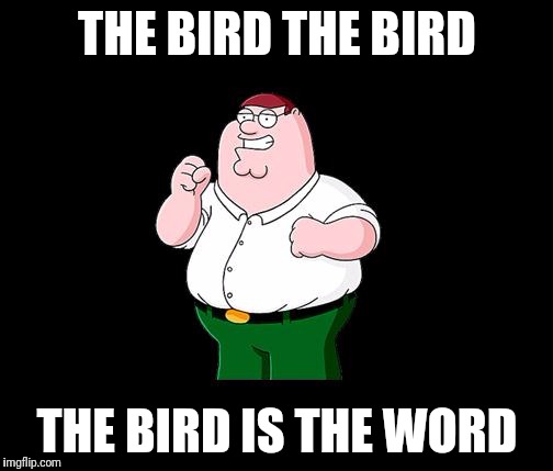 THE BIRD THE BIRD THE BIRD IS THE WORD | made w/ Imgflip meme maker