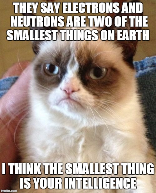 Terrible minds don't think...AT ALL. | THEY SAY ELECTRONS AND NEUTRONS ARE TWO OF THE SMALLEST THINGS ON EARTH; I THINK THE SMALLEST THING IS YOUR INTELLIGENCE | image tagged in memes,grumpy cat | made w/ Imgflip meme maker
