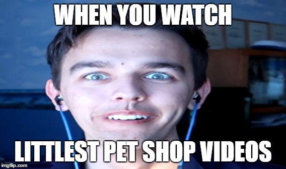 When  you watch videos | WHEN YOU WATCH; LITTLEST PET SHOP VIDEOS | image tagged in littlest pet shop | made w/ Imgflip meme maker