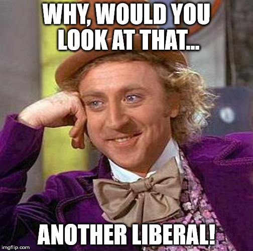 Creepy Condescending Wonka Meme | WHY, WOULD YOU LOOK AT THAT... ANOTHER LIBERAL! | image tagged in memes,creepy condescending wonka | made w/ Imgflip meme maker