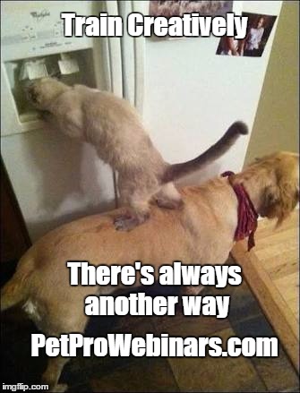 Smart animals | Train Creatively; There's always another way; PetProWebinars.com | image tagged in smart animals | made w/ Imgflip meme maker