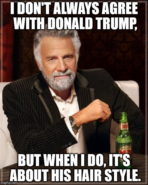 The Most Interesting Man In The World | I DON'T ALWAYS AGREE WITH DONALD TRUMP, BUT WHEN I DO, IT'S ABOUT HIS HAIR STYLE. | image tagged in memes,the most interesting man in the world | made w/ Imgflip meme maker