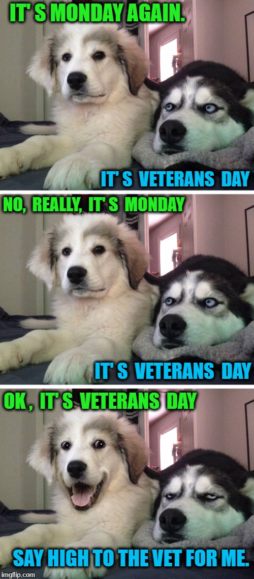 Bad pun dogs | IT' S MONDAY AGAIN. IT' S  VETERANS  DAY; NO,  REALLY,  IT' S  MONDAY; IT' S  VETERANS  DAY; OK ,  IT' S  VETERANS  DAY; SAY HIGH TO THE VET FOR ME. | image tagged in bad pun dogs | made w/ Imgflip meme maker