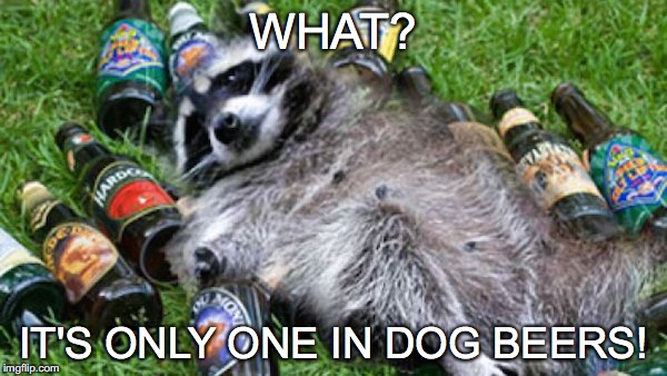 No such thing as too many.. | WHAT? IT'S ONLY ONE IN DOG BEERS! | image tagged in janey mack meme,funny,flirty meme,only one in dog beers | made w/ Imgflip meme maker
