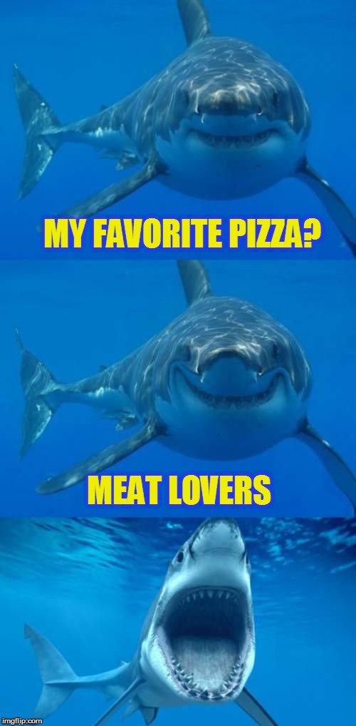 Bad Shark Pun  | MY FAVORITE PIZZA? MEAT LOVERS | image tagged in bad shark pun | made w/ Imgflip meme maker