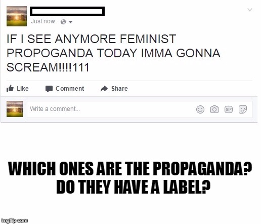 Propoganda | WHICH ONES ARE THE PROPAGANDA?  DO THEY HAVE A LABEL? | image tagged in feminism,propaganda,confused | made w/ Imgflip meme maker