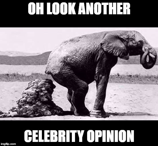 Elephant Poop | OH LOOK ANOTHER; CELEBRITY OPINION | image tagged in elephant poop,elephant,celebrity,politics | made w/ Imgflip meme maker