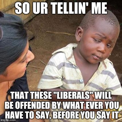 Third World Skeptical Kid Meme | SO UR TELLIN' ME; THAT THESE "LIBERALS" WILL BE OFFENDED BY WHAT EVER YOU HAVE TO SAY, BEFORE YOU SAY IT | image tagged in memes,third world skeptical kid | made w/ Imgflip meme maker