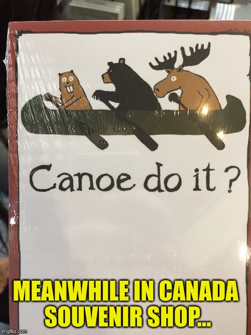 Meanwhile in Canada | MEANWHILE IN CANADA SOUVENIR SHOP... | image tagged in memes,canada,meanwhile in canada | made w/ Imgflip meme maker