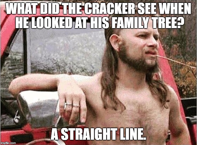 Redneck | WHAT DID THE CRACKER SEE WHEN HE LOOKED AT HIS FAMILY TREE? A STRAIGHT LINE. | image tagged in redneck | made w/ Imgflip meme maker