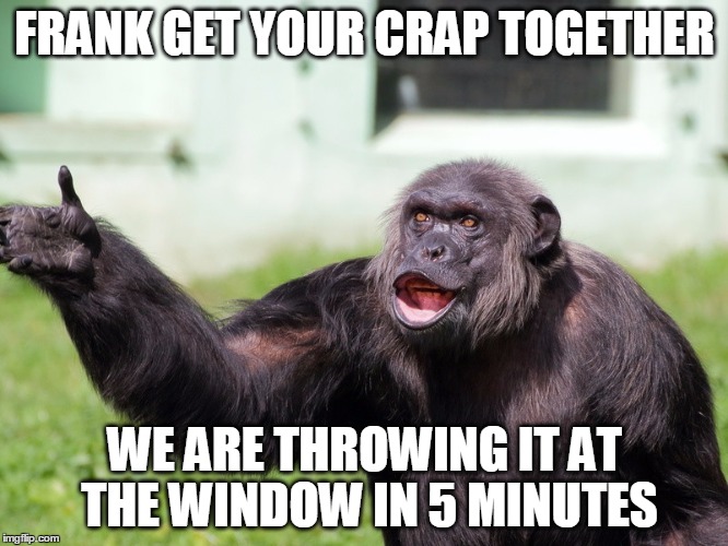 Supervisor | FRANK GET YOUR CRAP TOGETHER; WE ARE THROWING IT AT THE WINDOW IN 5 MINUTES | image tagged in chimpanzee meme frank | made w/ Imgflip meme maker