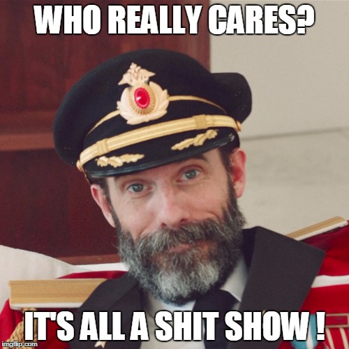 Captain Obvious large | WHO REALLY CARES? IT'S ALL A SHIT SHOW ! | image tagged in captain obvious large | made w/ Imgflip meme maker