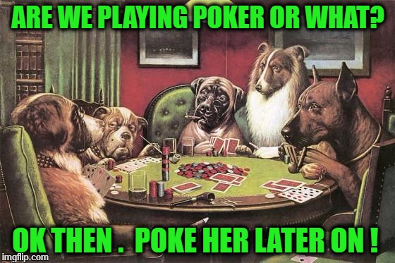 pokerdogs | ARE WE PLAYING POKER OR WHAT? OK THEN .  POKE HER LATER ON ! | image tagged in pokerdogs | made w/ Imgflip meme maker
