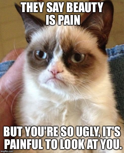 Grumpy Cat | THEY SAY BEAUTY IS PAIN; BUT YOU'RE SO UGLY, IT'S PAINFUL TO LOOK AT YOU. | image tagged in memes,grumpy cat | made w/ Imgflip meme maker