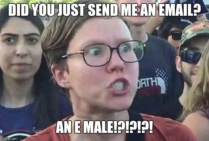Triggered Liberal | DID YOU JUST SEND ME AN EMAIL? AN E MALE!?!?!?! | image tagged in triggered liberal | made w/ Imgflip meme maker