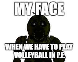 MY FACE; WHEN WE HAVE TO PLAY VOLLEYBALL IN P.E. | image tagged in fnaf 3 | made w/ Imgflip meme maker