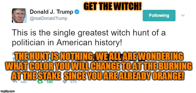 I am Betting Fuschia ! | GET THE WITCH! THE HUNT IS NOTHING, WE ALL ARE WONDERING WHAT COLOR YOU WILL CHANGE TO AT THE BURNING AT THE STAKE  SINCE YOU ARE ALREADY ORANGE! | image tagged in donald trump,witch hunt | made w/ Imgflip meme maker