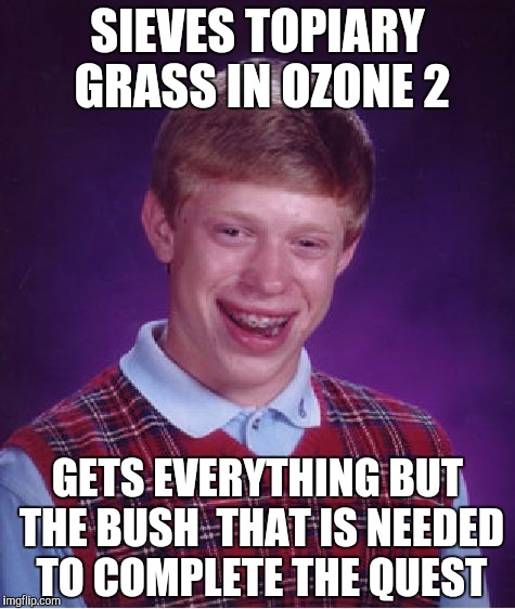 Bad Luck Brian Meme | SIEVES TOPIARY GRASS IN OZONE 2; GETS EVERYTHING BUT THE BUSH  THAT IS NEEDED TO COMPLETE THE QUEST | image tagged in memes,bad luck brian | made w/ Imgflip meme maker