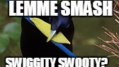 lemme smash swiggity swooty | LEMME SMASH; SWIGGITY SWOOTY? | image tagged in lemme smash,swiggity swooty | made w/ Imgflip meme maker