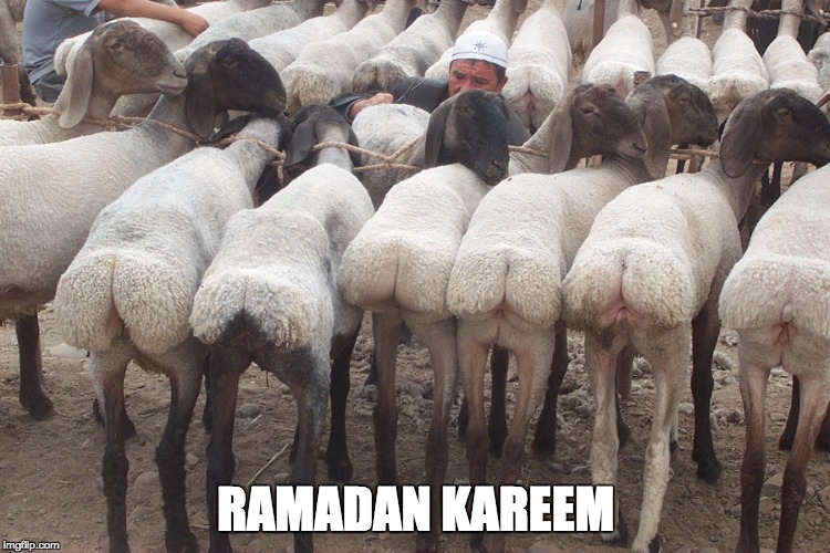 RAMADAN KAREEM | image tagged in sheep | made w/ Imgflip meme maker