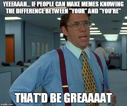 Great grammar | YEEEAAAH... IF PEOPLE CAN MAKE MEMES KNOWING THE DIFFERENCE BETWEEN "YOUR" AND "YOU'RE"; THAT'D BE GREAAAAT | image tagged in memes,that would be great | made w/ Imgflip meme maker