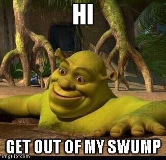 shreck | HI; GET OUT OF MY SWUMP | image tagged in shreck | made w/ Imgflip meme maker