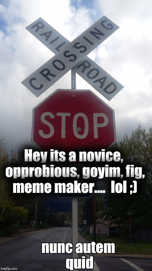 Mine | Hey its a novice, opprobious, goyim, fig, meme maker....  lol ;); nunc autem quid | image tagged in mine | made w/ Imgflip meme maker