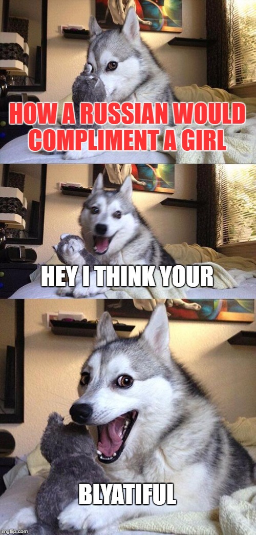 An Average Russian Compliment | HOW A RUSSIAN WOULD COMPLIMENT A GIRL; HEY I THINK YOUR; BLYATIFUL | image tagged in memes,bad pun dog,russians | made w/ Imgflip meme maker