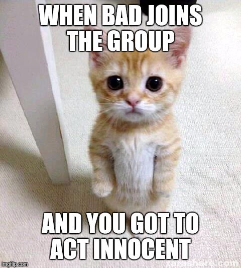 Cute Cat Meme | WHEN BAD JOINS THE GROUP; AND YOU GOT TO ACT INNOCENT | image tagged in memes,cute cat | made w/ Imgflip meme maker